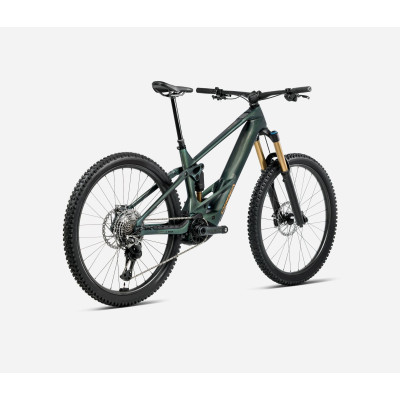 Orbea Wild M-LTD 600Wh 2026